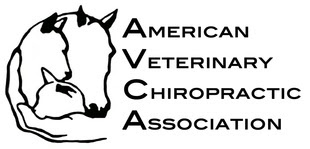 american_veterinary_chiropractic_association