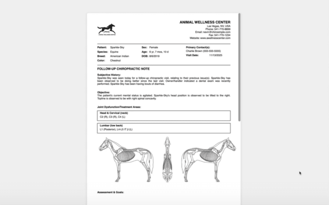 Creating Notes / Using SALT