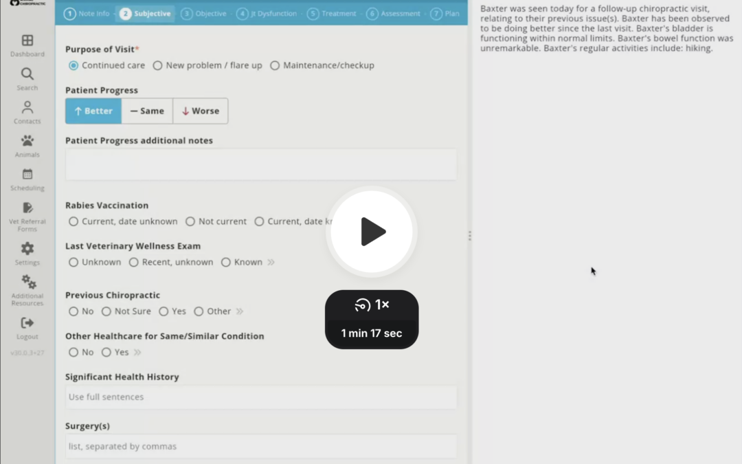 Notes: Preview Output – Flip/Split Screen