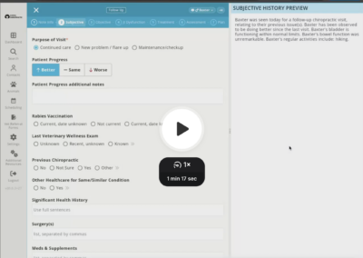 Notes: Preview Output – Flip/Split Screen