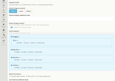 Notes: Chief Complaint (Updated)